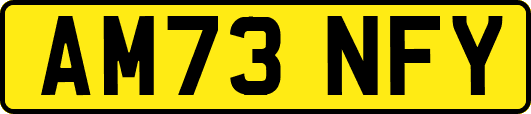 AM73NFY