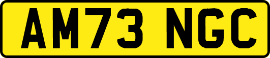 AM73NGC
