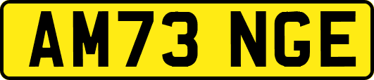 AM73NGE