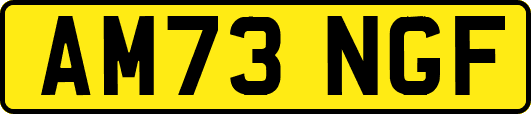 AM73NGF