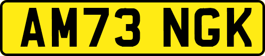 AM73NGK