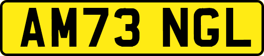AM73NGL