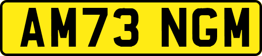 AM73NGM