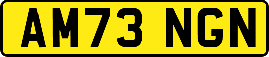 AM73NGN