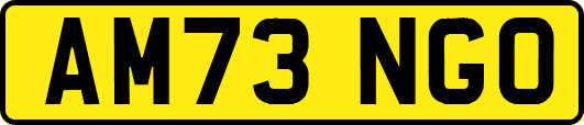 AM73NGO