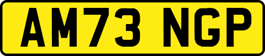 AM73NGP