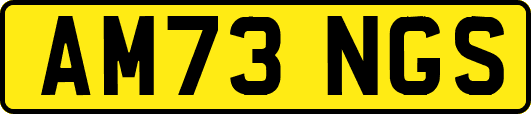 AM73NGS
