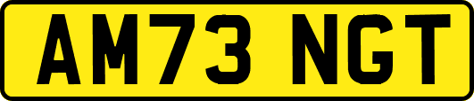 AM73NGT