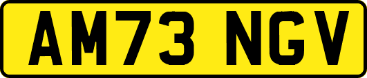 AM73NGV