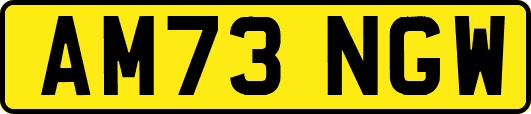 AM73NGW