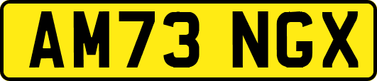 AM73NGX