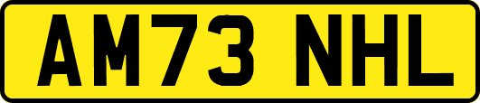 AM73NHL