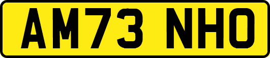 AM73NHO