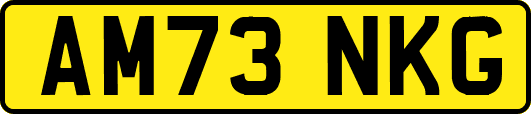 AM73NKG