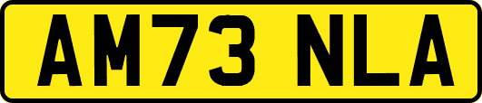 AM73NLA