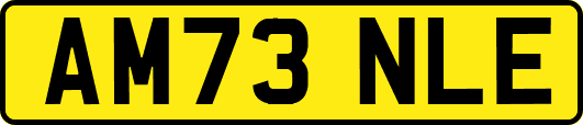 AM73NLE