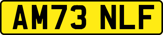 AM73NLF