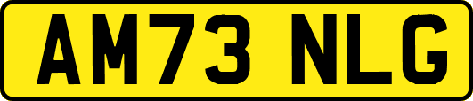 AM73NLG