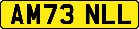 AM73NLL