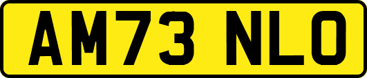 AM73NLO