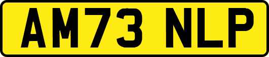 AM73NLP
