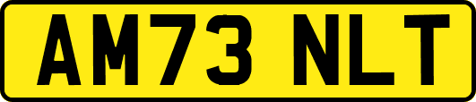 AM73NLT