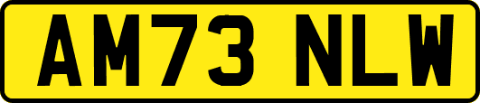 AM73NLW