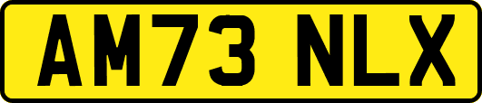 AM73NLX
