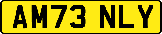AM73NLY