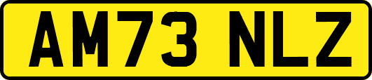 AM73NLZ