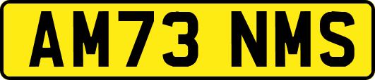 AM73NMS