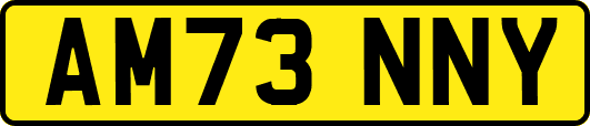 AM73NNY