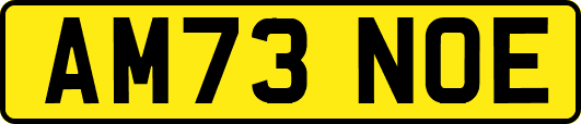 AM73NOE