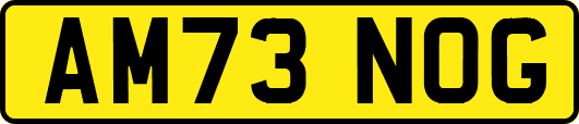 AM73NOG