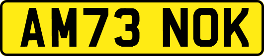 AM73NOK