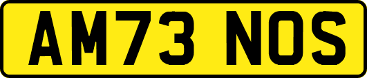 AM73NOS