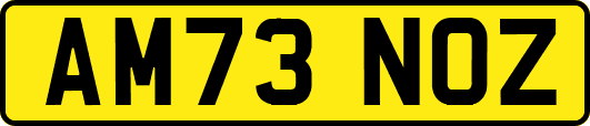 AM73NOZ