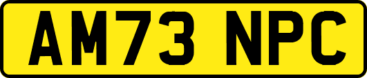 AM73NPC