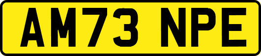 AM73NPE