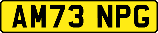 AM73NPG