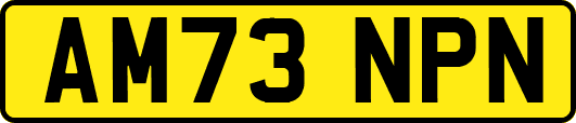 AM73NPN