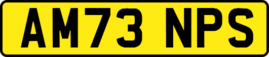 AM73NPS