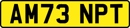 AM73NPT
