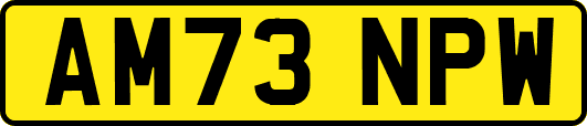 AM73NPW