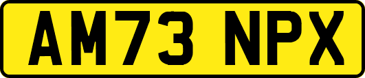 AM73NPX
