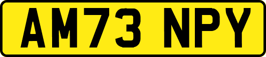 AM73NPY