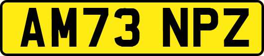 AM73NPZ