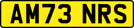 AM73NRS