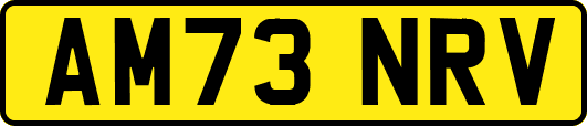 AM73NRV