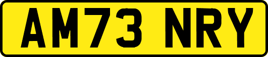 AM73NRY